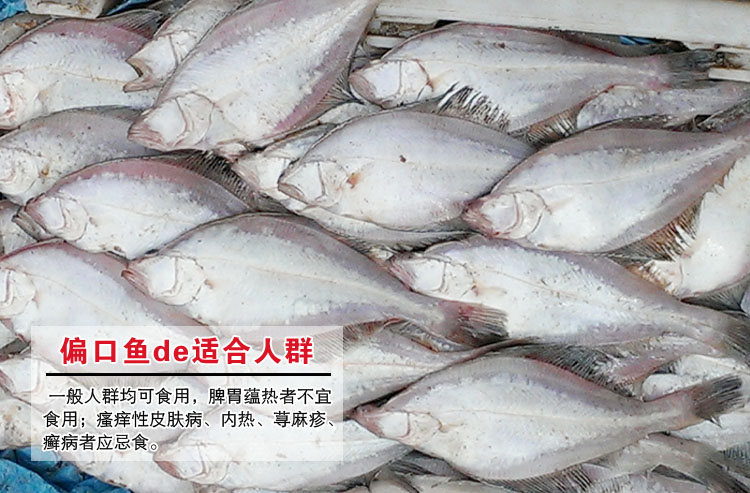 岛礼 新鲜大偏口鱼 2条/斤 纯野生 天然海鲜 大连特产【大渔场】