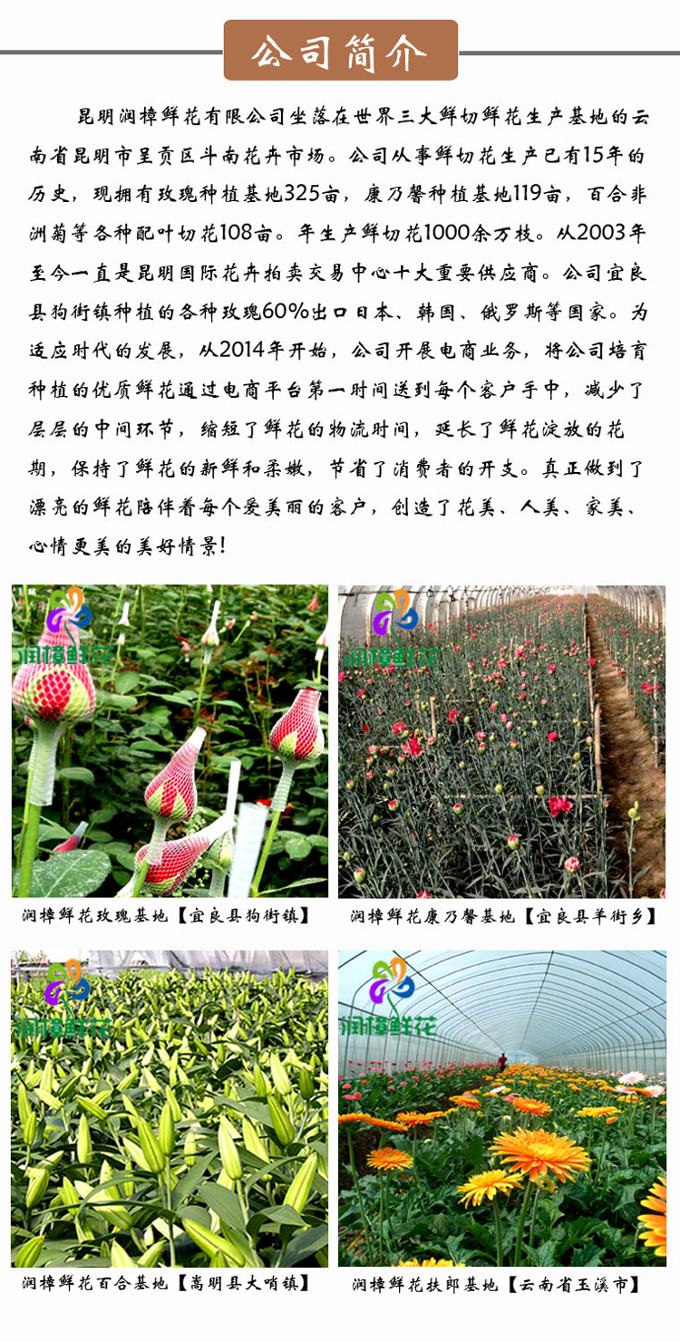 上海鲜花行情_上海鲜花港_手捧鲜花(4)