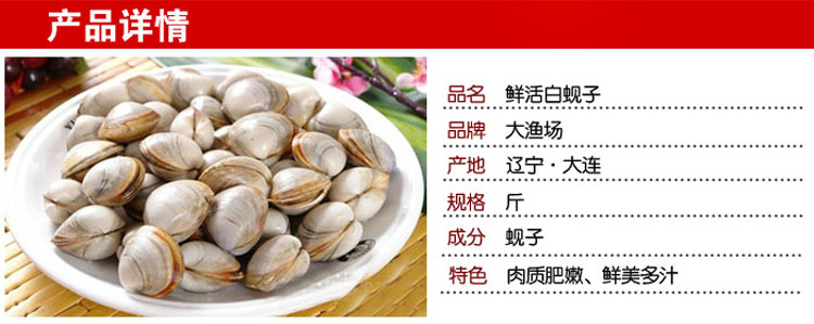 大连白蚬子 新鲜白蛤蜊 500g 鲜活海鲜 蚬子 海鲜贝类 【大渔场】