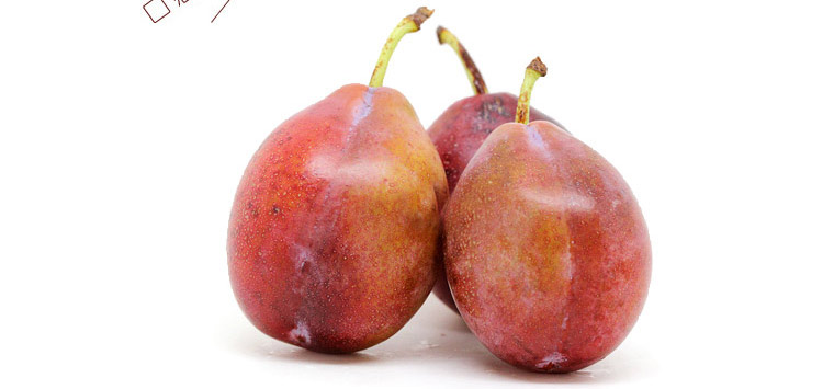【食百味】新疆西梅 洋李子 国产新鲜西梅鲜果水果喀什特产 免费配送