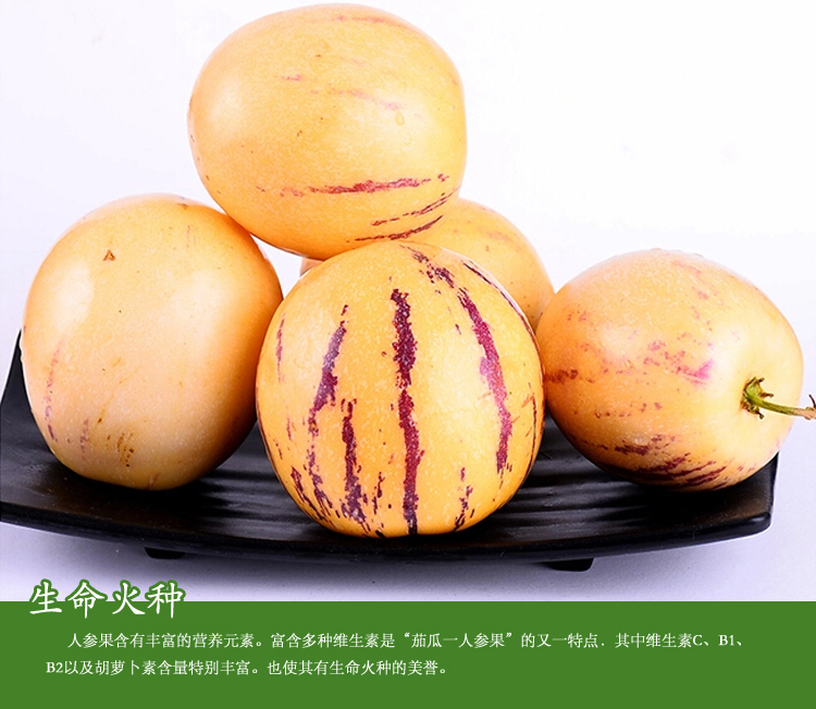 [食百味]甘肃武威人参果 2盒装 单盒净重约1斤 新鲜水果 免费配送