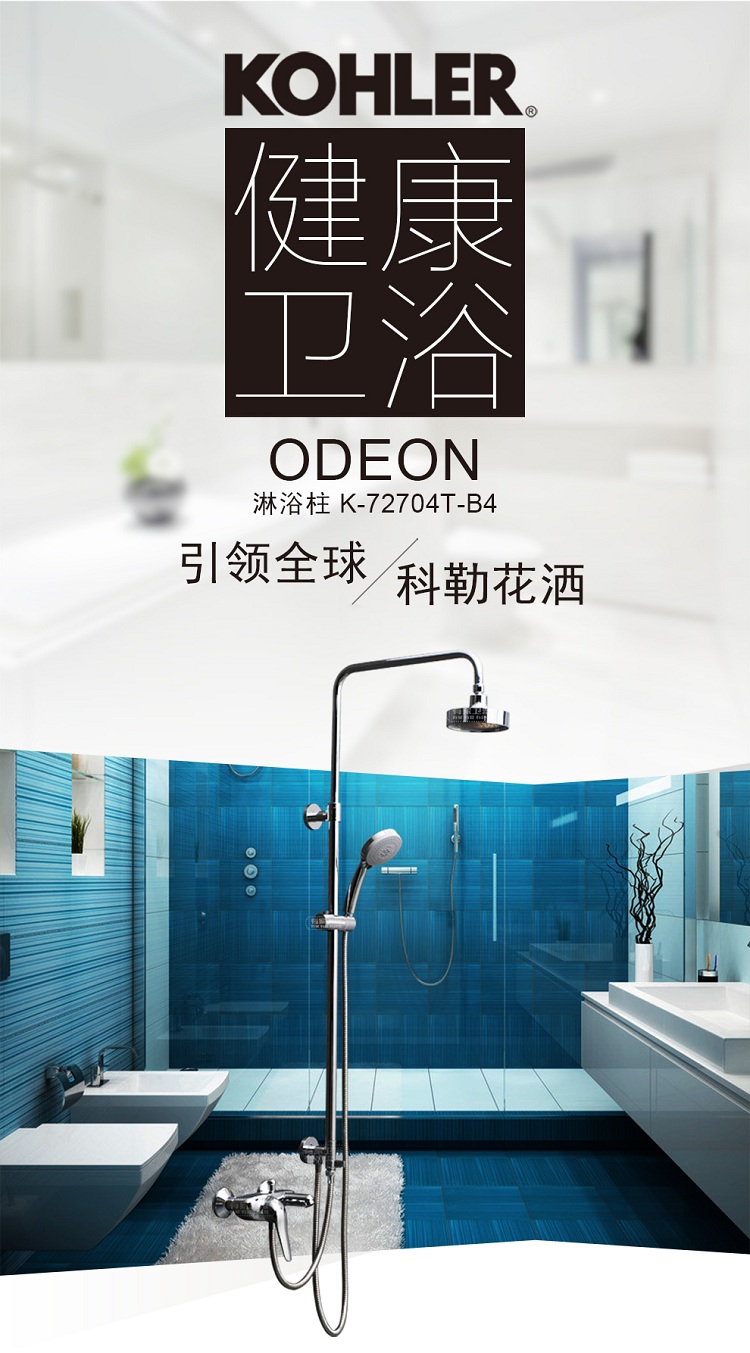 科勒(kohler) 卫浴全铜淋浴花洒 花洒套装 多功能出水(k-5428t亲氧